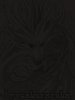   Fable.RO PVP- 2024 -  - Dragon of Darkness |    MMORPG Ragnarok Online   FableRO:  ,  , Novice Wings,   