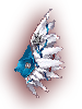   Fable.RO PVP- 2024 -  - Anti-Collider Wings |    Ragnarok Online  MMORPG  FableRO: Dragon Helmet,  ,   ,   