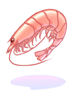   Fable.RO PVP- 2024 -   - Shrimp |    MMORPG  Ragnarok Online  FableRO: Wings of Mind,   , Wings of Attacker,   