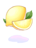   Fable.RO PVP- 2024 -   - Lemon |    MMORPG  Ragnarok Online  FableRO: ,  , Vendor Wings,   