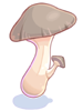   Fable.RO PVP- 2024 -  - Edible Mushroom |    MMORPG Ragnarok Online   FableRO:  ,  ,  ,   