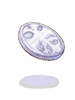   Fable.RO PVP- 2024 -  - Platinum Coin |     MMORPG Ragnarok Online  FableRO:   Archer High,  , Deviling Rucksack,   