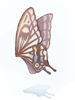   Fable.RO PVP- 2024 -   - Giant Butterfly Wing |    Ragnarok Online  MMORPG  FableRO: Flying Devil,  , ,   