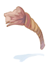   Fable.RO PVP- 2024 -   - Decomposed Rope |    Ragnarok Online MMORPG   FableRO: ,   , Thief Wings,   