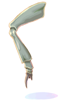   Fable.RO PVP- 2024 -   - Insect Leg |    Ragnarok Online  MMORPG  FableRO:  , ,   ,   