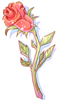   Fable.RO PVP- 2024 -  - Witherless Rose |    MMORPG  Ragnarok Online  FableRO: Kings Chest, ,  ,   